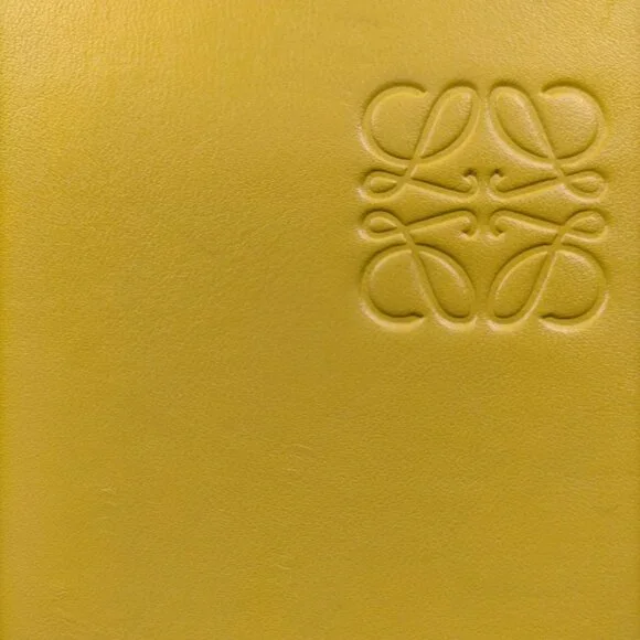 LOEWE Yellow Leather Crossbody Bag mon375-101425
